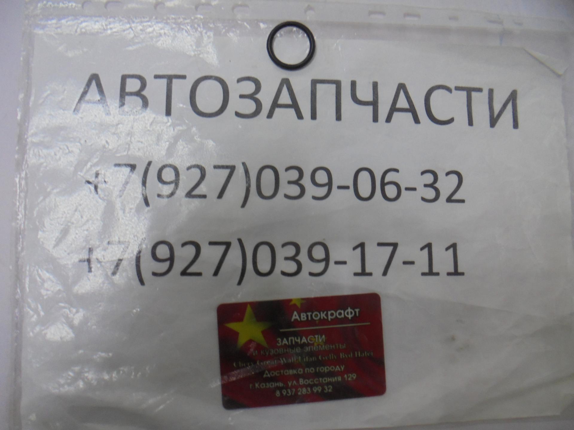 Уплотнительное кольцо Dong Feng S30 Уплотнительное кольцо Dong Feng S30